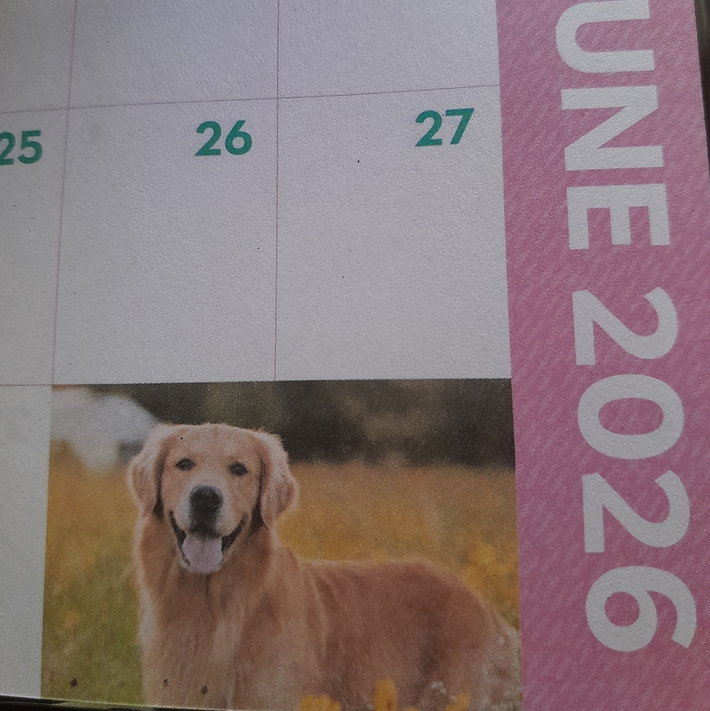 Two-Year Planner With Dogs - Picture 7 of 10
